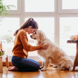 pets and mental health | gratitude lodge