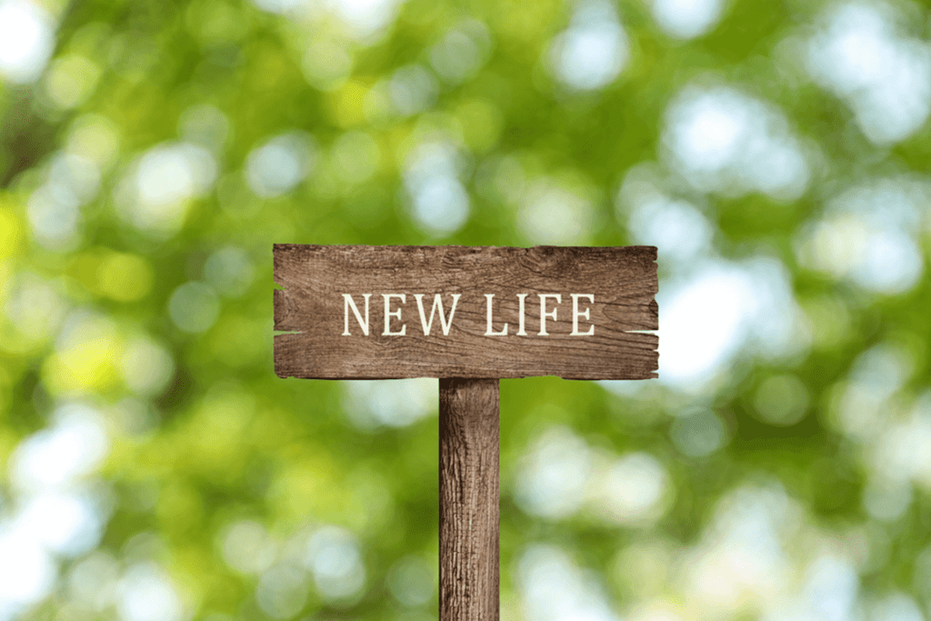 new life | Gratitude Lodge