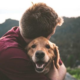 pet and animal therapy | gratitude lodge