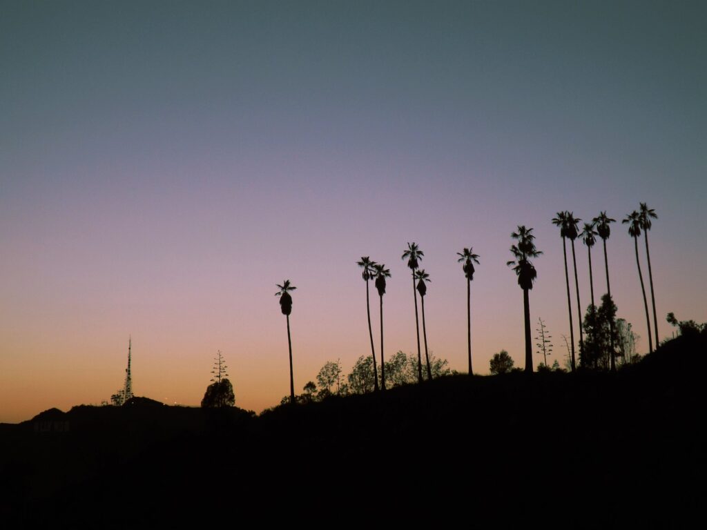 An image of the Hollywood skyline, depicting the industry that played a role in the Carrie Fisher addiction and recovery story